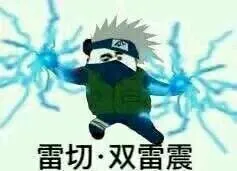雷切.双雷震