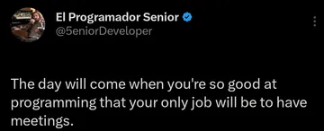 That's Why I Suck At Coding