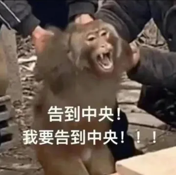 吗喽：告到中央 我要告到中央表情包（被一群人按着）
