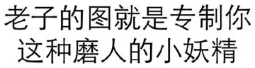 老子的图就是专制你这种磨人的小妖精