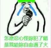 怎酸忍心怪妳.犯了錯是我给妳自由過了火