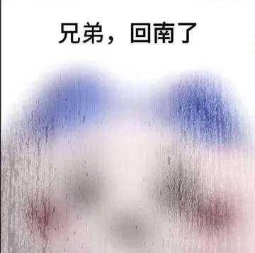 兄弟，回南了