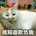 是喵星人啦00045-就知道欺负我猫