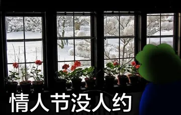 情人节没人约