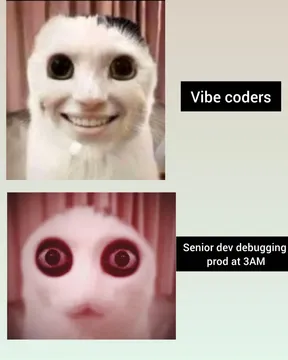 Vibe Vs Skills