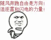 随风奔跑自由是方向！追逐雷和闪电的力量！