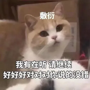 猫咪敷衍：我有在听 请继续 好好好对对对你说的没错