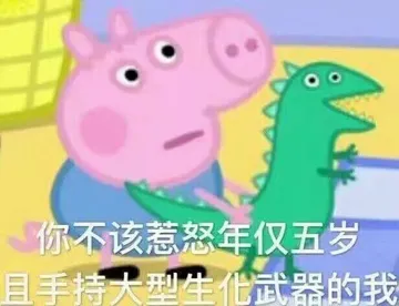 你不该惹年仅五岁 且手持大型生化武器的我