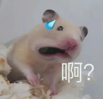 啊?
