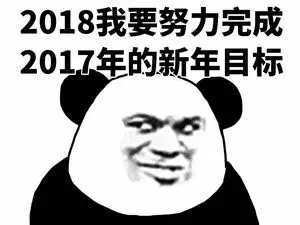 2018我要努力完成.2017年的新年目标