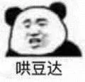 哄豆达