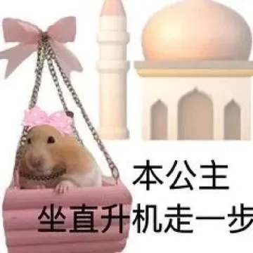 本公主坐直升机走一步