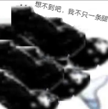 想不到吧,我不只一条腿