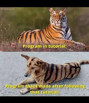 Tutorial Made It Look Easy