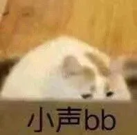 小声BB
