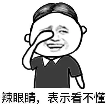 辣眼睛，表示看不懂
