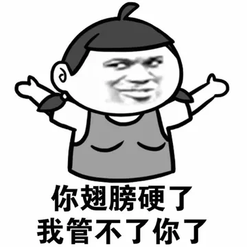 你翅膀硬了 我管不了你了