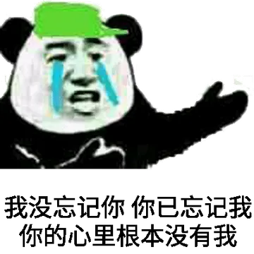我没忘记你，你已忘记我你的心里根本没有我