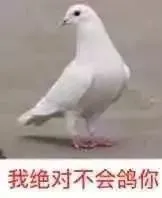 我绝对不会鸽你