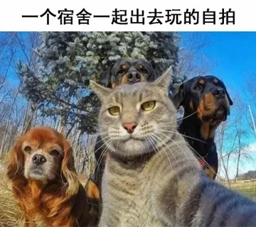 学校宿舍里的日常，和舍友的对话简直了