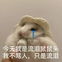 今天我是流泪鼠鼠头我不骂人,只是流泪