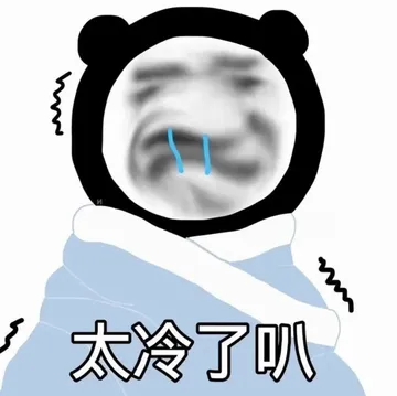 太冷了叭