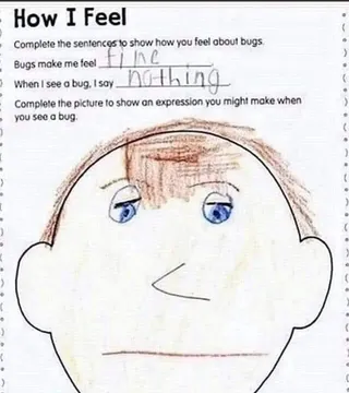Stage 5: acceptance