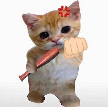 小猫咪自拍表情包