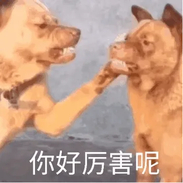 狗狗表情包动图 你好厉害呢