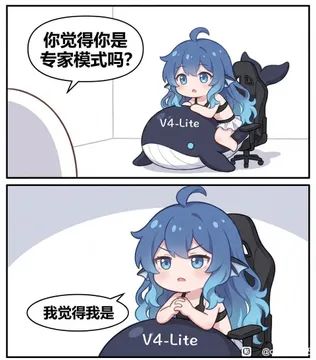 你觉得你是专家模式吗？V4-Lite我觉得我是V4-Lite