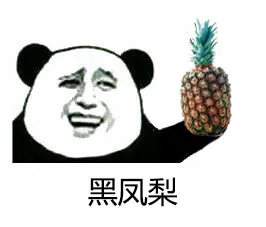 黑凤梨