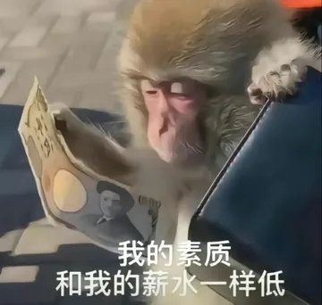 吗喽表情包 吗喽猴子搞笑图