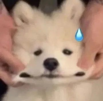 可爱狗勾表情包