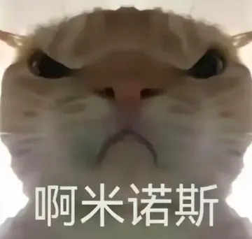 和平地铁猫猫鼠鼠表情包