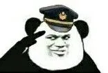 敬礼(教皇警察)
