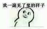 我一副见了鬼的样子