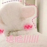捂脸~~~