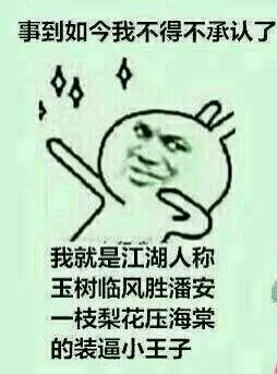 事到如今我不得不承认了，我就是江湖人称的装逼小王子