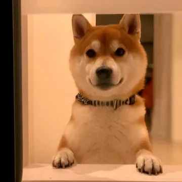 发呆