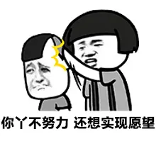 你丫不努力 还想实现愿望