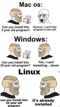 The Operating System Compatibility Drama