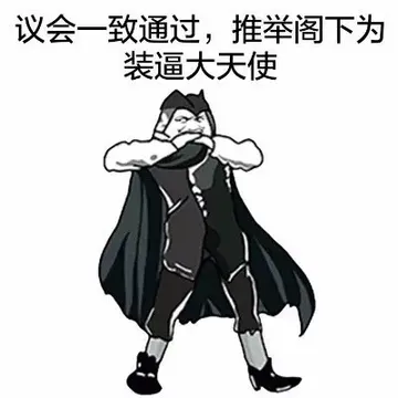 议会一致通过，推举阁下为装逼天使