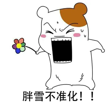 胖雪不准化！！