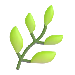 Herb