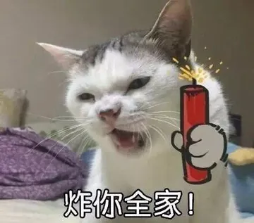炸你全家！