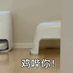 鸡哔你！