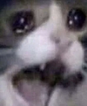 Depression Cat