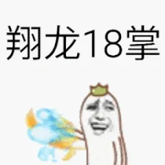 翔龙18掌