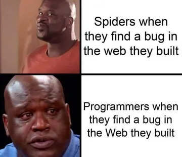 Find Bug In Web