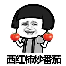 西红柿炒番茄